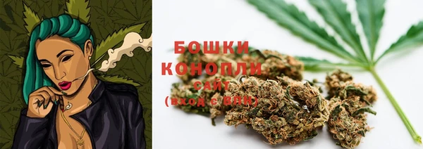 ПСИЛОЦИБИНОВЫЕ ГРИБЫ Липки