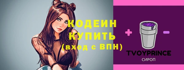 apvp Лиски