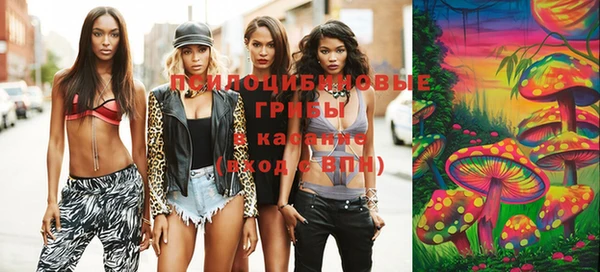 ПСИЛОЦИБИНОВЫЕ ГРИБЫ Липки
