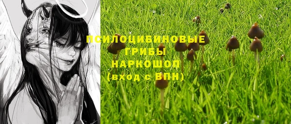 спиды Оленегорск