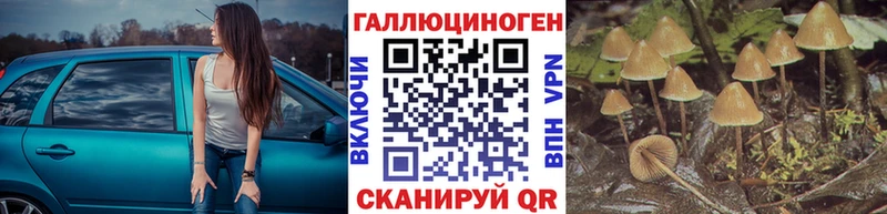 Псилоцибиновые грибы GOLDEN TEACHER  что такое наркотик  Сухиничи 
